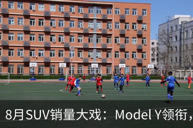 8月SUV销量大戏：Model Y领衔，燃油车强势回归